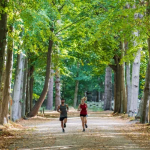 Rogelli CORE - męski podkoszulek funkcyjny grafitowy - obrazek 6